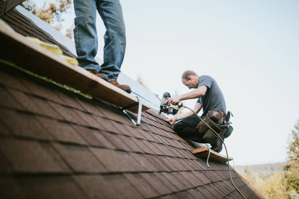 Best Metal Roofing Installation  in Keokuk, IA